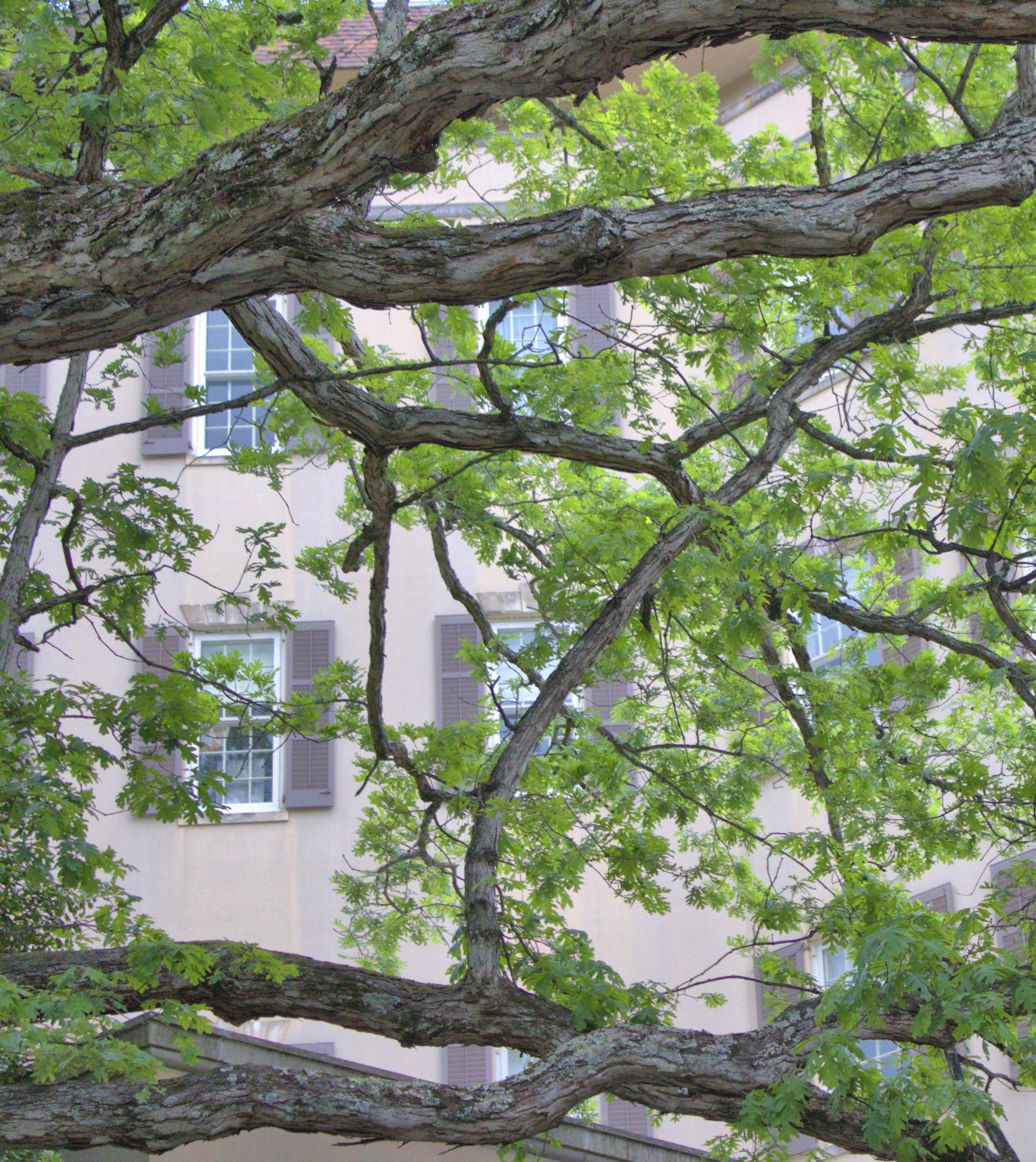 3rd PrizeMulti-Scape In Class 1 By Brendan Noonan For Winterthur Windows SEP-2025.jpg